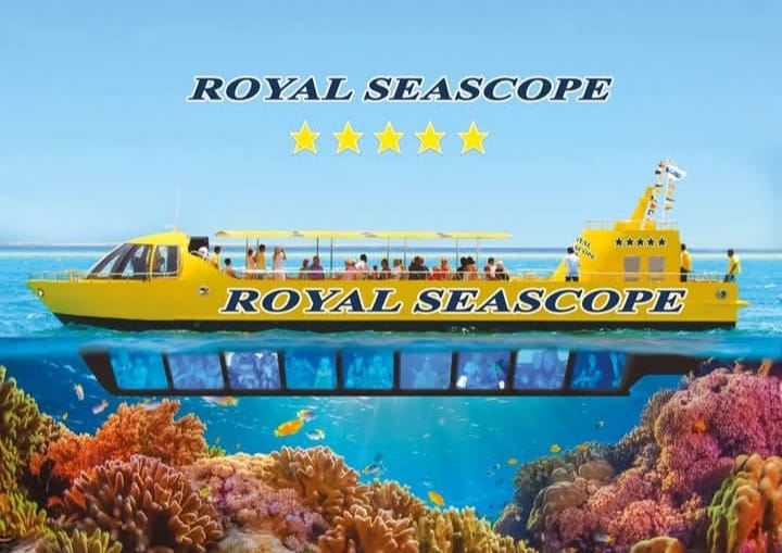 trip image